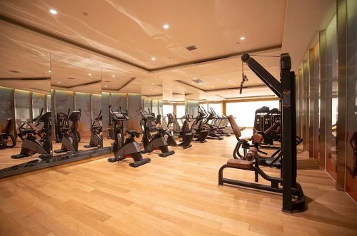 Commercial gym and fitness equipment manufacturer in China