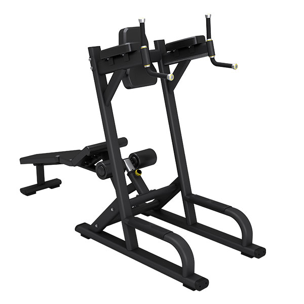 Abdominal & Knee Up/Dip