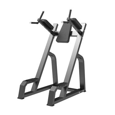 Vertical Knee Up/Dip