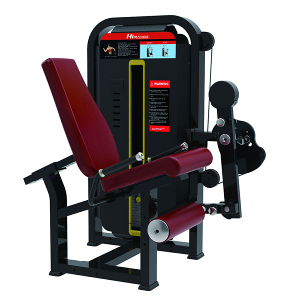 Seated Leg Extension