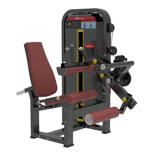 Seated Leg Curl/Leg Extension