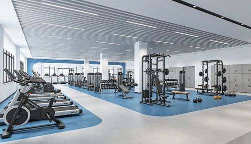 Gym Equipment Solutions for Student Recreation Centers